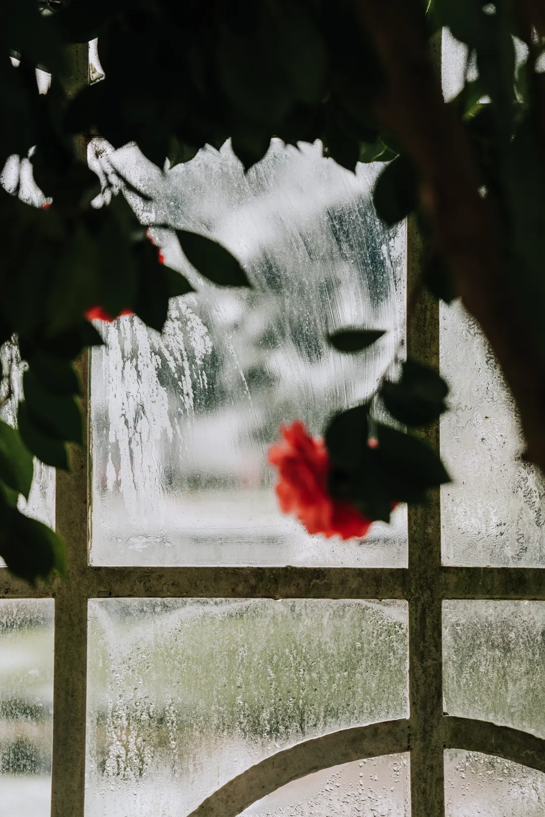 Detalle de vidrio con vistas a jardín (imagen ilustrativa)